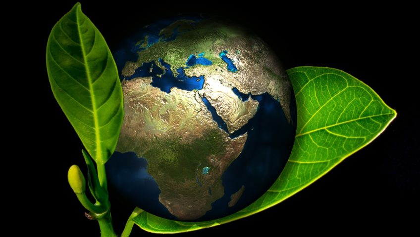 Keep our earth safe for all